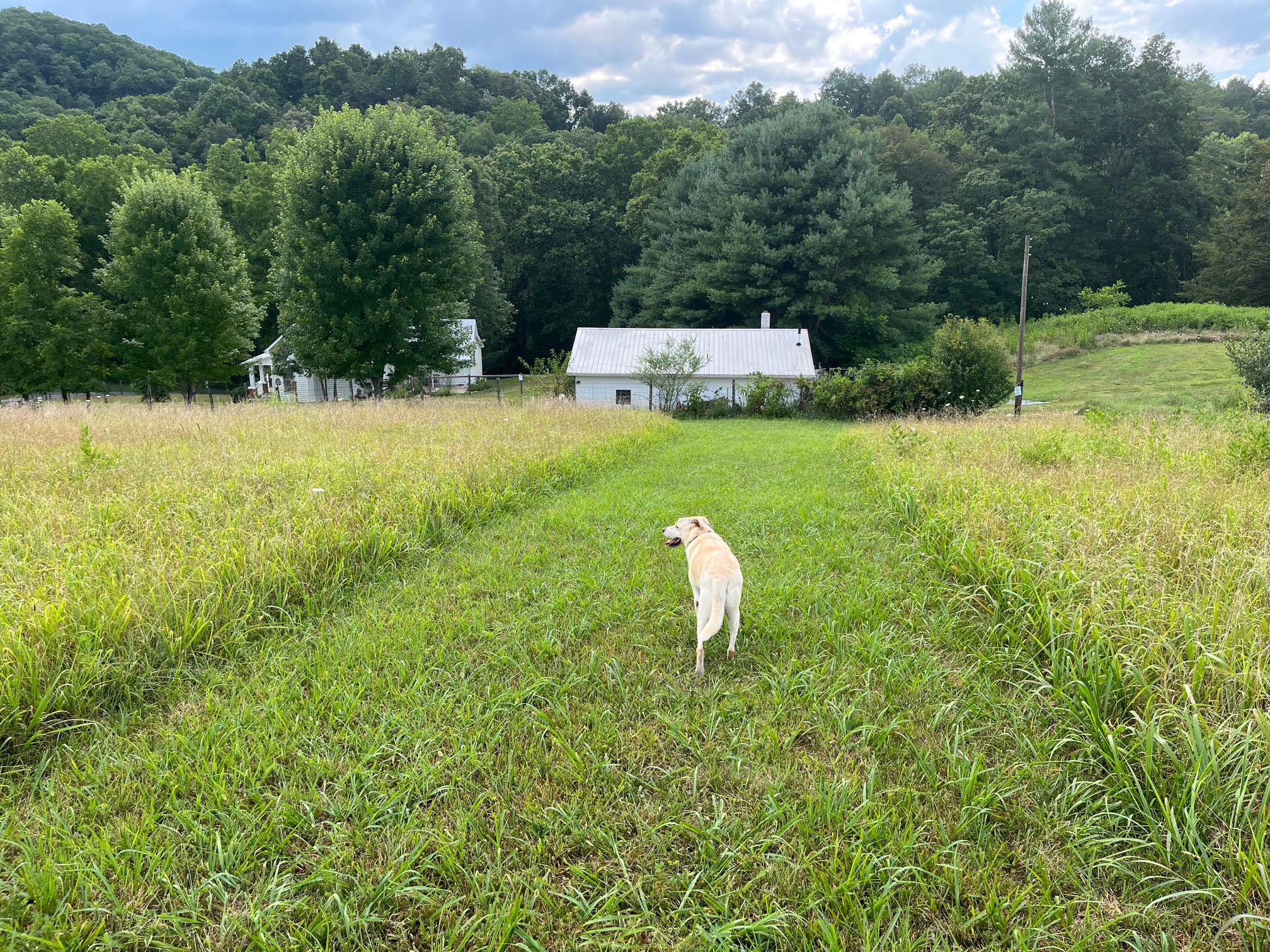 Starlight Studionat Trail's Bend